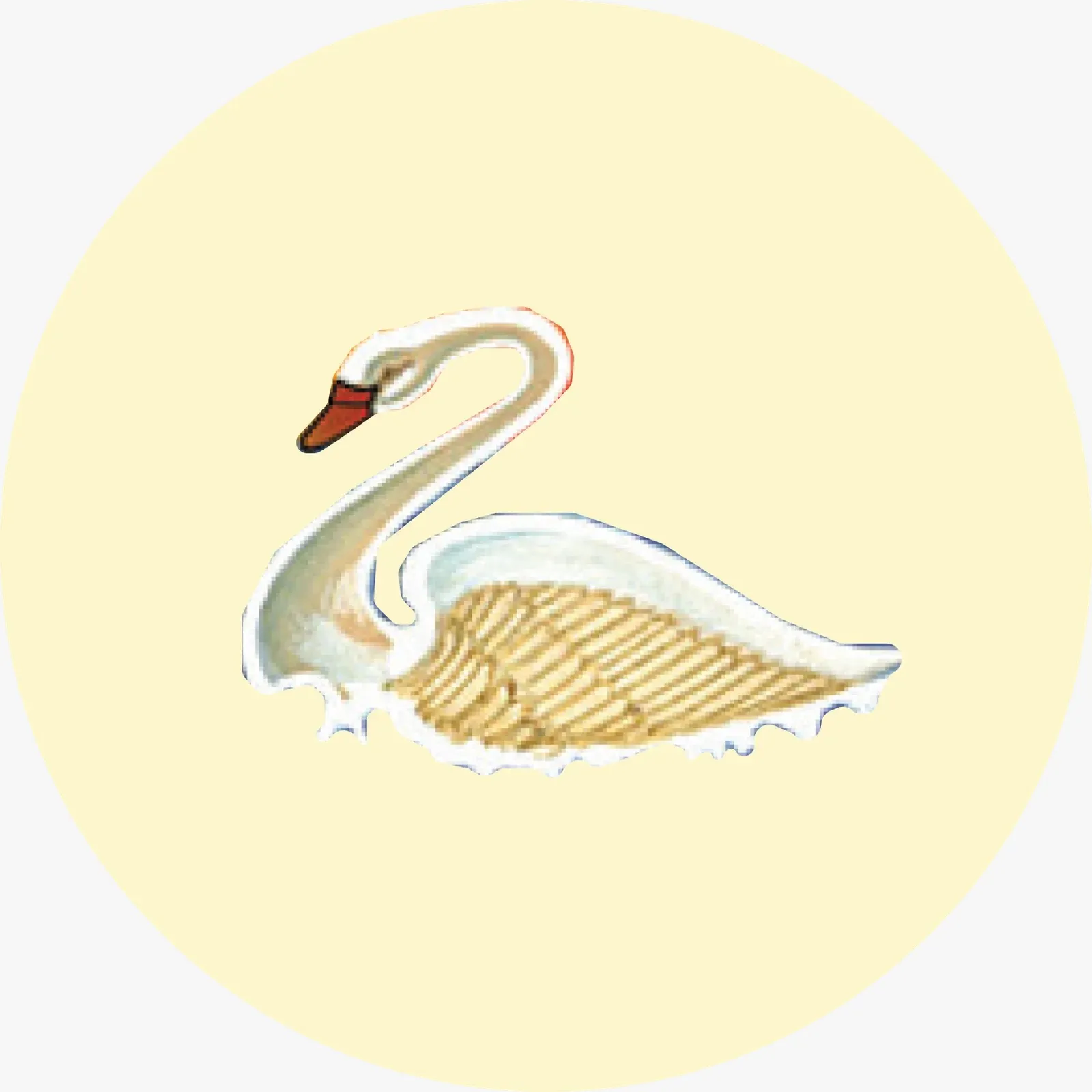 Swan